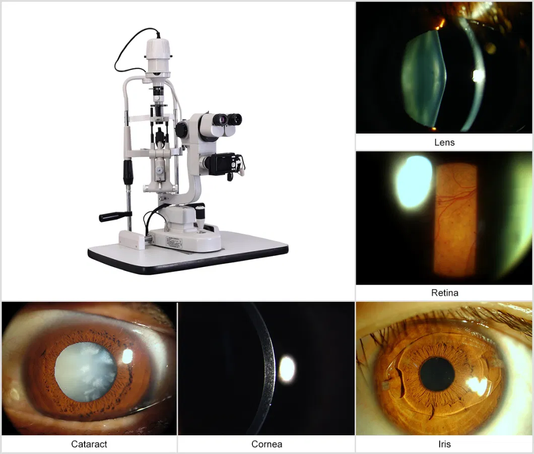 Ce FDA Approved Ophthalmic Portable Slit Lamp, Digital Slit Lamp