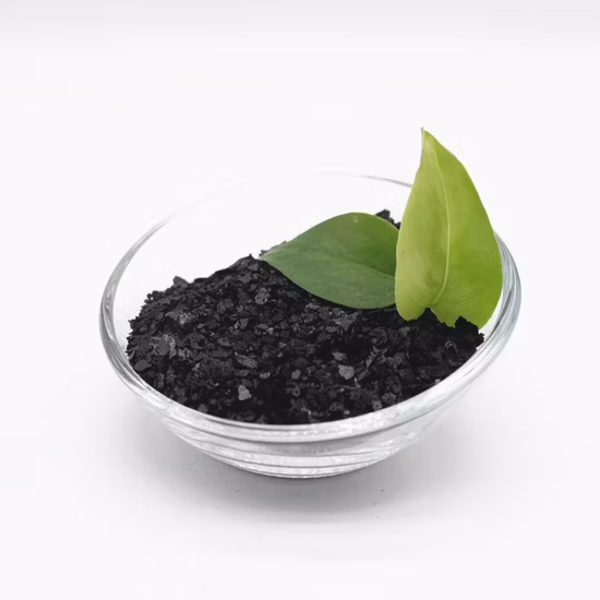 바이오